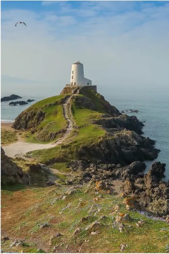 Enfant au marché asiatique